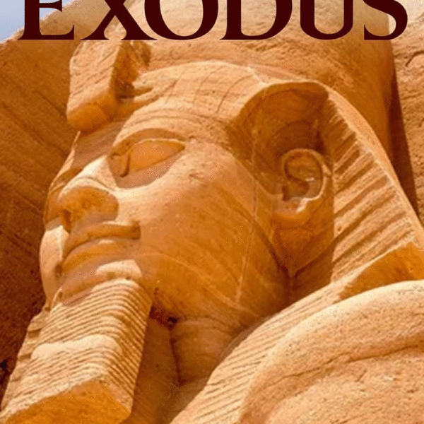 WALKING WITH GOD IN SELFLESSNESS EXODUS
